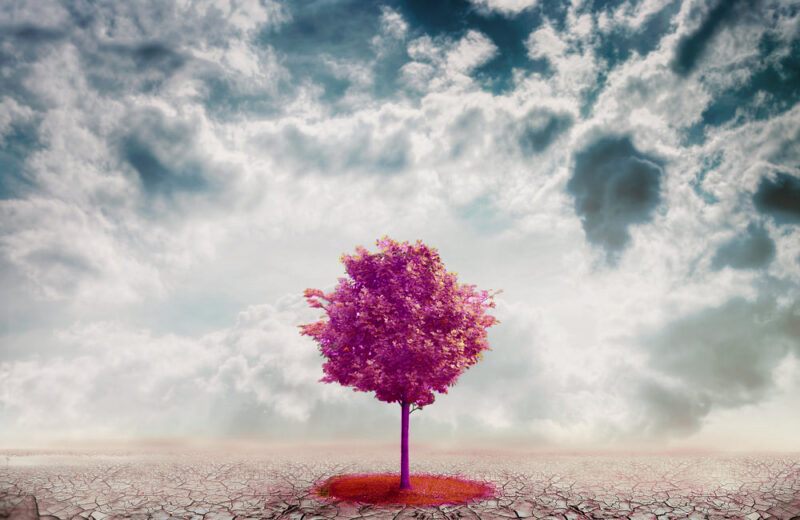 Resilienza mindfulness